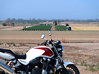 ���������̃l�M��