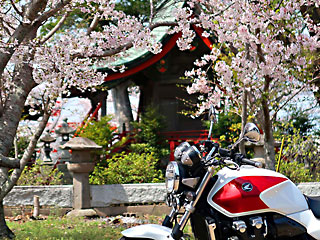 ����_�Ђ̍�