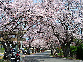 ���̃g���l��