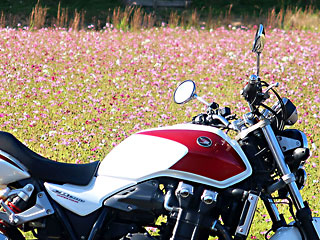 �R�X���X 2023