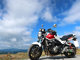 ファームロード 2024夏