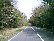 ��R���H�Q