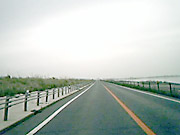 ����338����