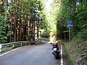 �����Q�U�T���Q_�Q