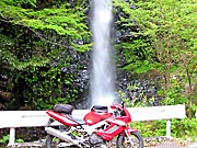 �����Q�U�T�������̑�