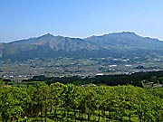 �숢�h�܌i_�R