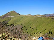 �r�P�X���S