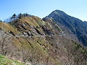 �r�P�X���W