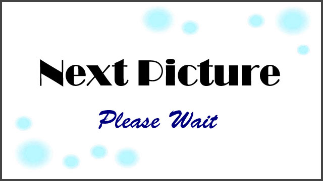Next Picture