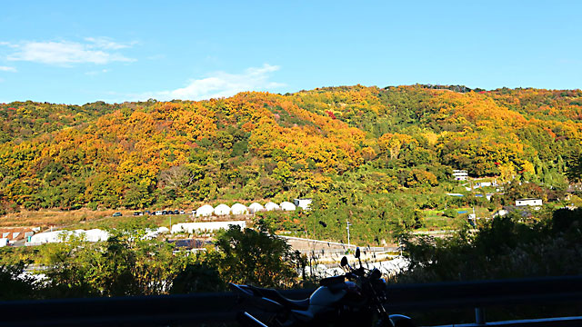 �g�t2025�H�S