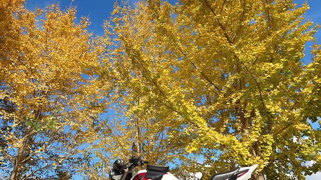 ���2025�H�Q